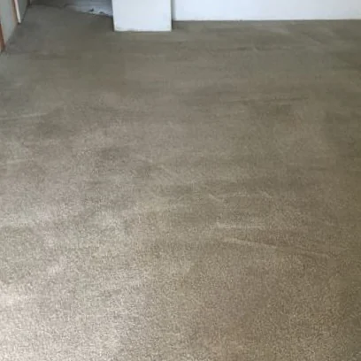Carpet after professional carpet stain removal and deep carpet cleaning