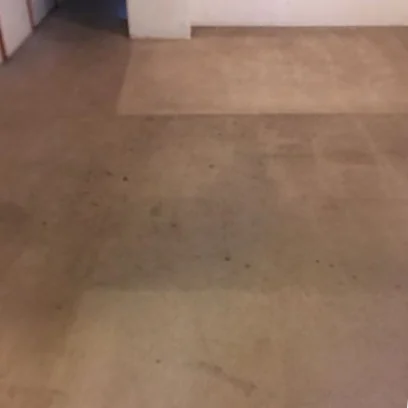 Carpet before professional carpet stain removal and deep carpet cleaning