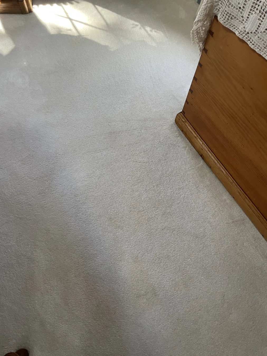 Carpet after professional carpet stain removal and deep carpet cleaning