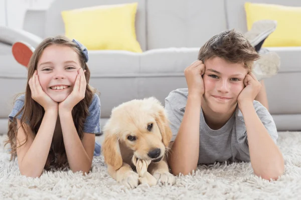 Pet odor removal and pet stain removal for dog urine and cat urine carpet problems